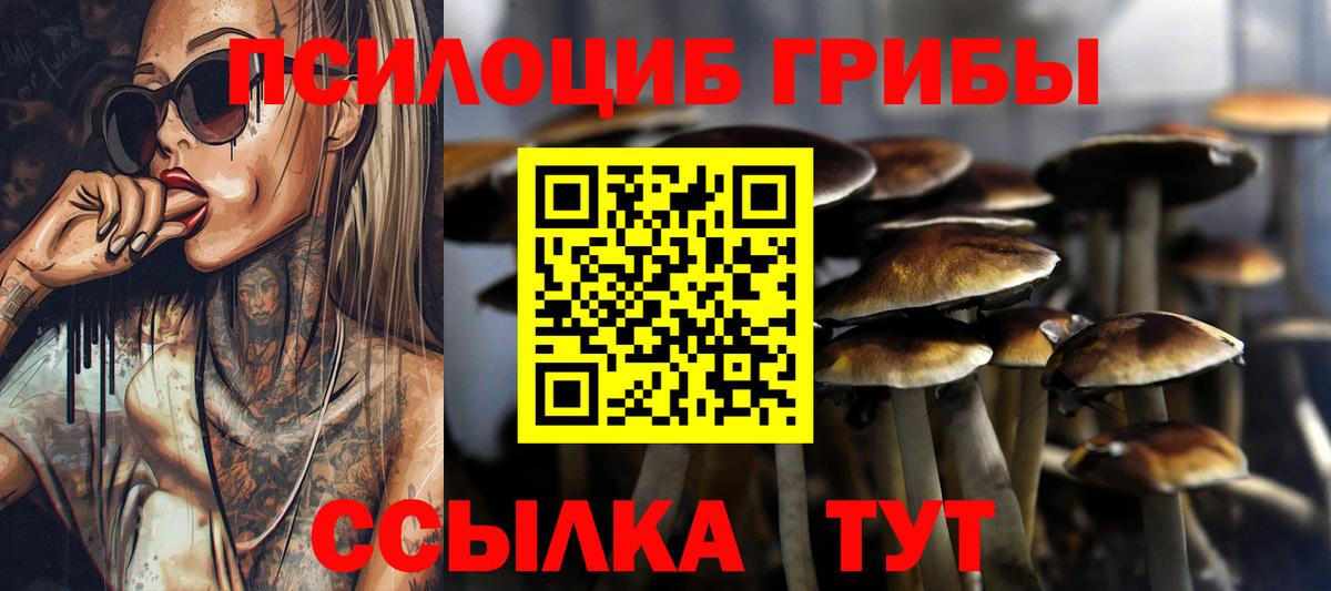 Галлюциногенные грибы GOLDEN TEACHER Гулькевичи